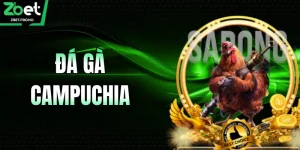 Đá Gà Campuchia – ZBET Sân Chơi Cá Cược Trực Tiếp Kịch Tính