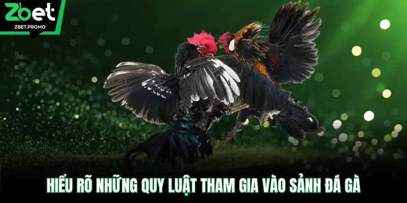 Hiểu rõ những quy luật tham gia vào sảnh đá gà